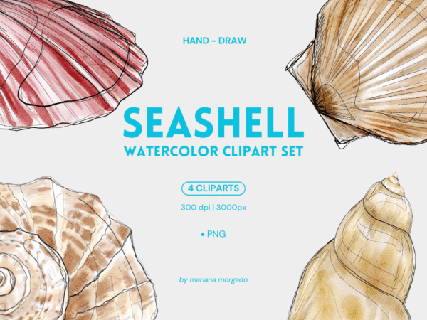 Cliparts | Seashells