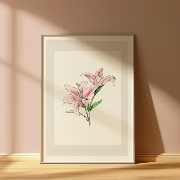 Print | Pink lily