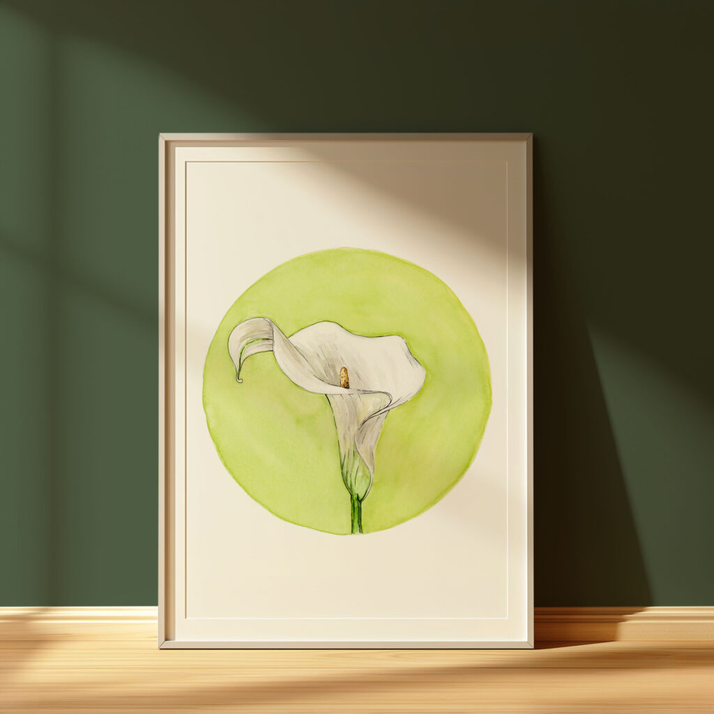 Print | Calla Lily