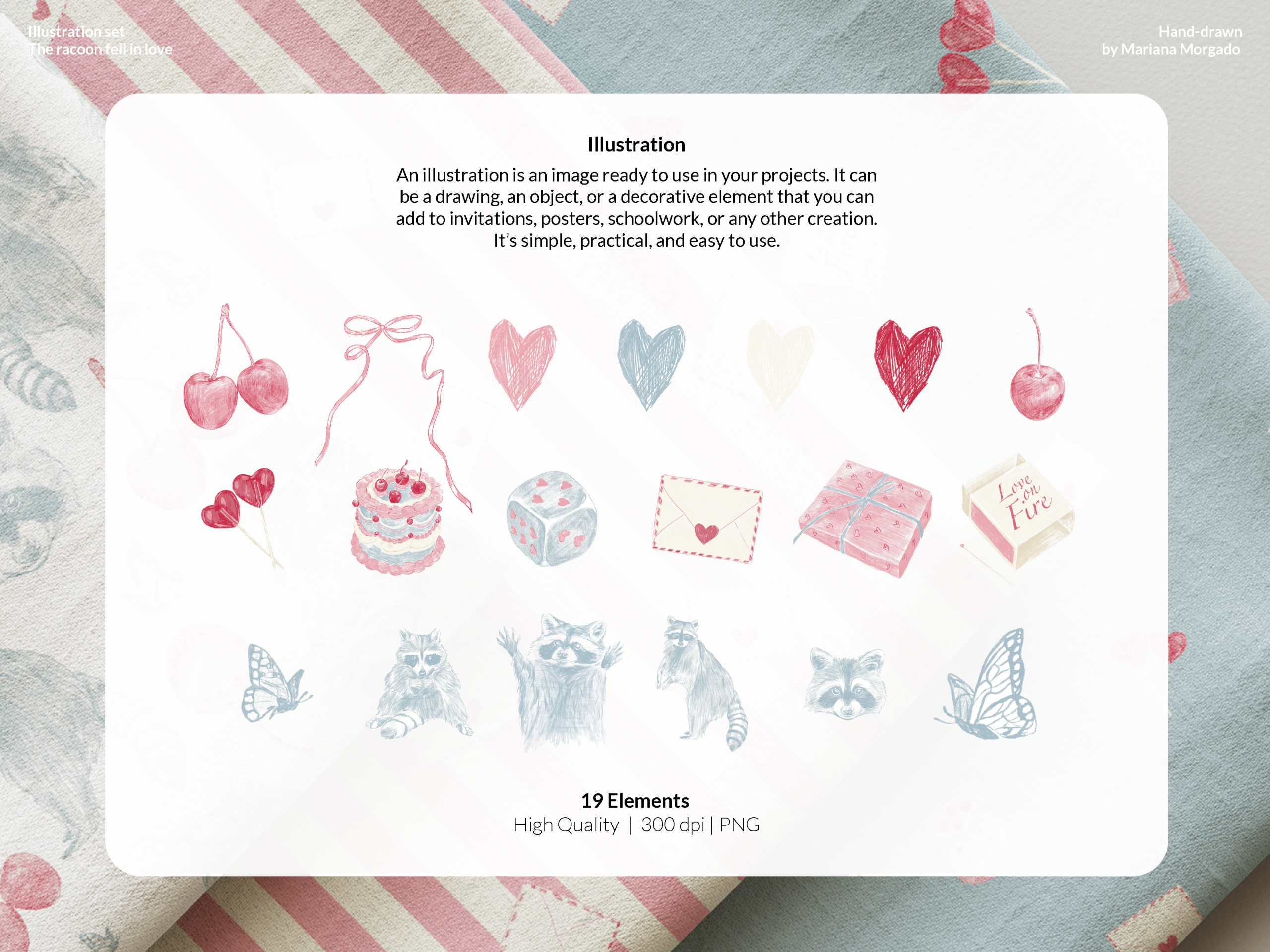 The Racoon Fell in Love - Image 2