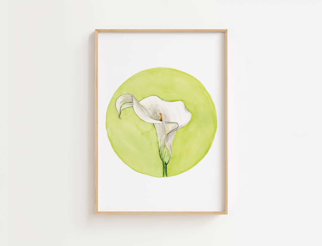 Calla Lily | Gicleé Print