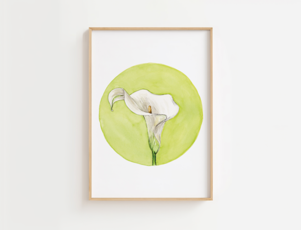 Print | Calla Lily