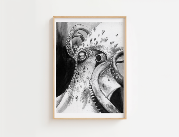 Print | Octopus