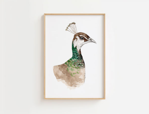 Print | Peahen