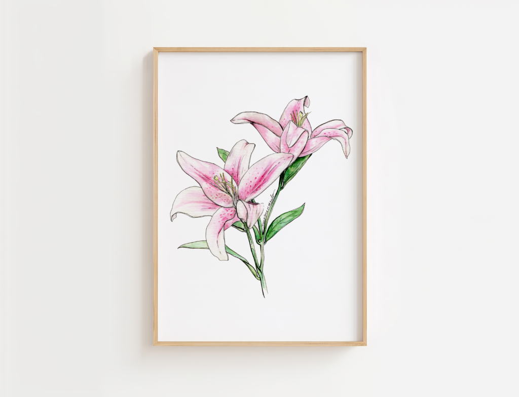 Print | Pink lily