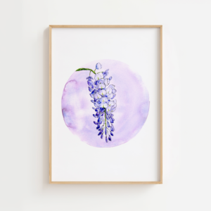 Wisteria | Gicleé Print - A4 - 21cm x 29,7cm