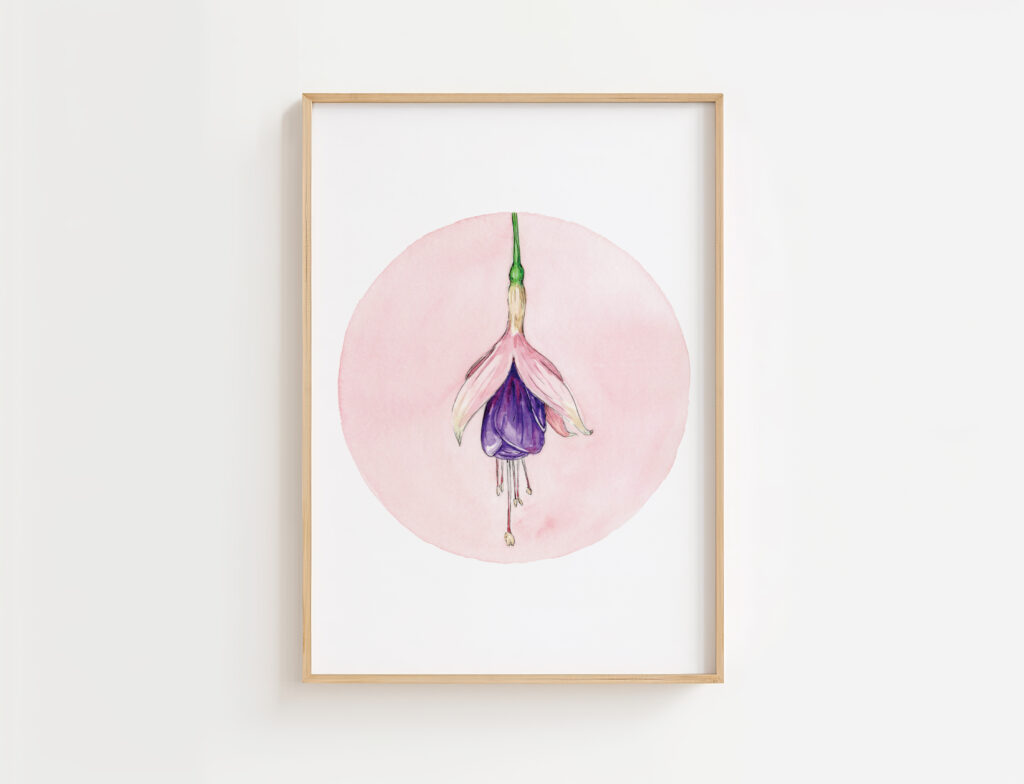 Fuschsia Hybrida | Gicleé Print