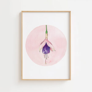 Fuchsia Hybrida | Gicleé Print