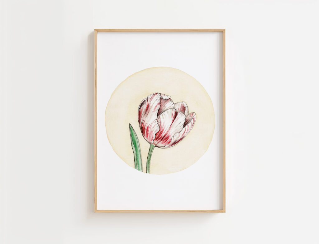Tulipa Gesneriana | Gicleé Print